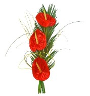 Букет тз красных антуриумов на пальмовой ветке.